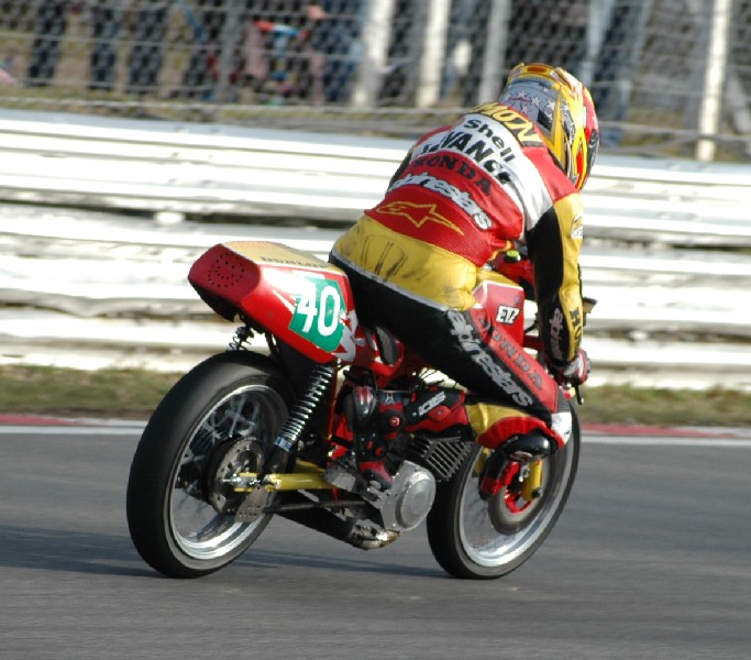 Picture from 12th March - 0262 Picture from 12th March - 0262